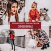 christmas-presets-gingerbread