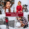 christmas-presets-snowflake